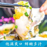 鲜甚妙 湛江生蚝肉 净重3斤