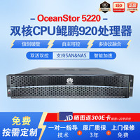 华为 5220 SAN+NAS磁盘阵列12盘主机