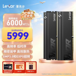 雷克沙 DDR5 6000 64GB(32GB×2)套条 电竞马甲条台式内存条 CL40 Thor雷神二代马甲 黑色
