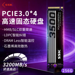 飚王 SSD固态硬盘M.2接口(NVMe协议)PCIe 3.0*4高速大容量笔记本台式机游戏扩展存储硬盘AI电脑配件