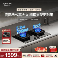 方太 JZT-TF29B 天然气 嵌入式燃气灶