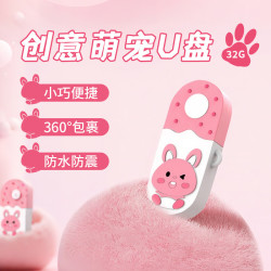 联想 投资品牌异能者32GB兔兔款迷你u盘USB2.0车载u盘无损音乐金属电脑U盘小巧便捷可爱