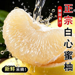京典光年 福建平和白柚 白心蜜柚子老树白肉柚子皮薄肉厚当季新鲜水果 9斤（约2-4个）