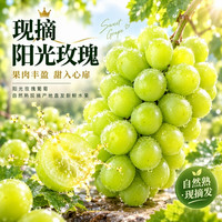 久雅优鲜 阳光玫瑰葡萄新鲜5斤晴王葡萄无籽香印提子水果青提当季现摘整箱