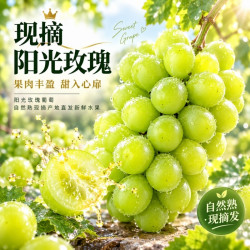 久雅优鲜 阳光玫瑰葡萄新鲜5斤晴王葡萄无籽香印提子水果青提当季现摘整箱