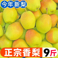 潼铄 正宗香梨新鲜水果当季梨子脆甜红香酥梨薄皮一整箱大果10包邮斤
