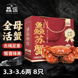 鱻谣 大闸蟹 全母3.3-3.6两 4对8只 去绳足重 鲜活螃蟹 生鲜蟹类海鲜礼盒
