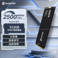 奔跑者 R3000L系列 SSD固态硬盘 512G