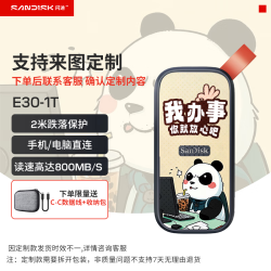 闪迪 移动固态硬盘E30小巧便携Type-C接口高速SSD存储USB3.2Gen2 1