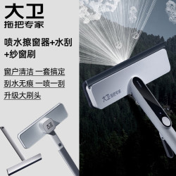 大卫家庭清洗窗户纱窗套装擦窗器S10+纱窗刷+刮水板S6
