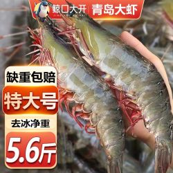 鲸口大开 青岛大虾新鲜大虾鲜活海虾基围虾虾气冻虾对虾特大号批发