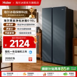 海尔 BCD-616WGHSSEDC9 风冷对开门冰箱 616L 烟青色