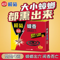 榄菊 蟑香驱蟑蚊香座蟑螂盘香小强灭杀蟑螂除蟑厨房卧室酒店用 蟑香4单圈