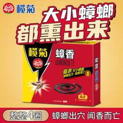 榄菊 蟑香驱蟑蚊香座蟑螂盘香小强灭杀蟑螂除蟑厨房卧室酒店用 蟑香4单圈