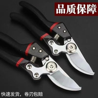高硬合防生锈刀口锋利尖锐果树剪秒断树枝轻松修剪园林果圃果枝剪