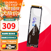 七彩虹 CN600 电竞款 NVMe M.2 固态硬盘 256GB PRO（PCI-E3.0）