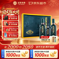 迎驾贡酒 洞藏16 浓香型白酒 52度 520mL*2瓶 礼盒装