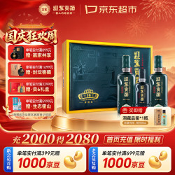 迎驾贡酒 洞藏16 浓香型白酒 52度 520mL*2瓶 礼盒装
