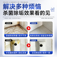 清洁收纳：DR.ML 马桶清洁剂除臭留香去污去尿碱强力去渍浴室厕所清洁液泡沫*2