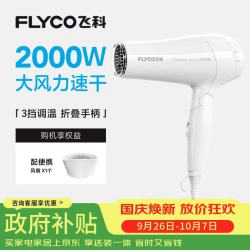 飞科 FH6232 2000W大功率速干 白色 电吹风机