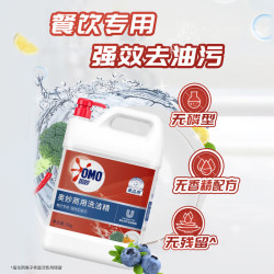 奥妙 商用洗洁精 5kg 强效去油污无磷除菌食品用 餐饮专用无残留