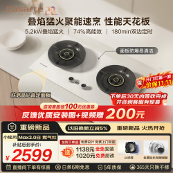 卡萨帝 JZT-CDZ7U9(白) 5.2kW猛火定时 天然气燃气灶