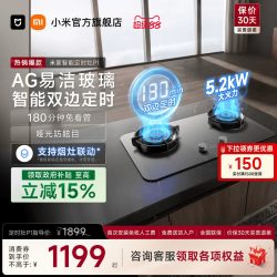 米家 P1 系列 MJ03CY 燃气灶