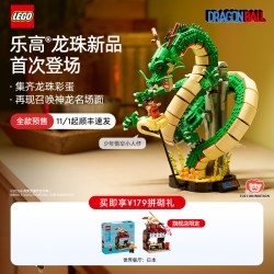 乐高 官方旗舰店11390龙珠:神龙&悟空积木玩具礼物