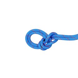 Mammut 猛犸象 9.5 Crag 经典绳子 60 米