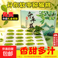 京喜 丹东软枣猕猴桃龙成二号丹东特产宝宝维c水果时令软枣子新鲜礼盒 3斤装 单果10-30g(净果2.7斤)