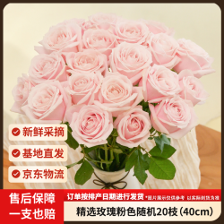 京东鲜花 玫瑰花20枝新鲜采摘礼品花基地源头直发
