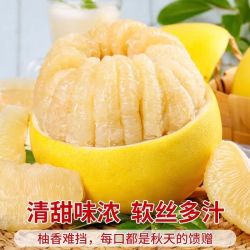 馋媳妇 正宗福建平和白心蜜柚水晶白肉薄皮新鲜柚子孕妇水果