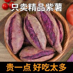 澳农卡 新鲜5斤紫薯山东板栗地瓜小蜜番薯山芋红薯3斤农家自种沙地