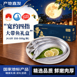 鲜京采 源头直发精选舟山特大带鱼2.3kg 350-500g/条 生鲜鱼类 2.3kg 350-500g