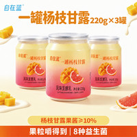 自在蓝 杨枝甘露罐罐酸奶220g*3罐 芒果西柚果粒益生菌低温代餐 源头直发