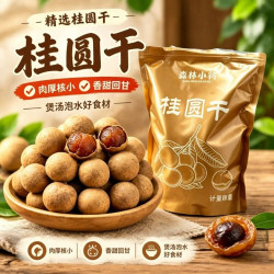 森林小将 特大果桂圆龙眼干500g