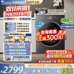 小天鹅 洗衣机12公斤小乌梅3.0全自动大容量滚筒纯平全嵌水魔方AI双自投 TG12VE20PRO