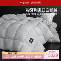 水星家纺 匈牙利白鹅绒冬被A类95%鹅绒被芯防钻绒秋冬羽绒被子 匈牙利白鹅绒冬被200*230cm