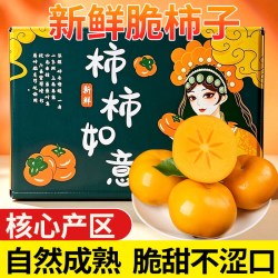 京愿 新鲜脆柿子 巧克力脆柿脆甜硬柿子水果生鲜水果中秋节送礼 5斤装净重4.5斤
