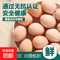 无抗鲜鸡蛋 谷物喂养鲜鸡蛋 50克左右/枚 早餐食材 蛋香味十足 30枚装