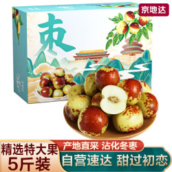 京地达 陕西大荔冬枣 5斤特大果 单果20g+ 新鲜水果 源头直发
