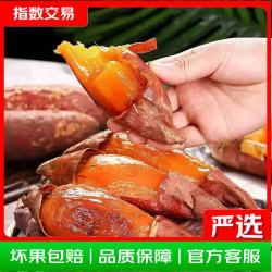 正宗精品沙地烟薯25号空气炸锅烤地瓜流油烤薯煮粥 精品中小果 带箱2斤
