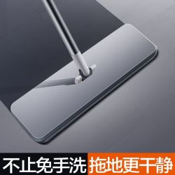 大卫 P10 免手洗平板拖把 2布头 套装