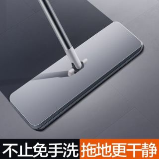 大卫 P10 免手洗平板拖把 2布头 套装
