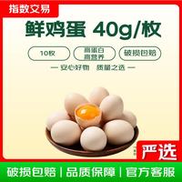 臻选鲜鸡蛋 约40g/枚 10枚净重不低于400g