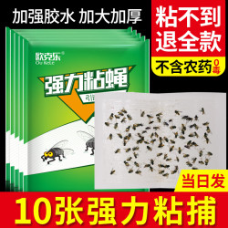 欧克乐 苍蝇贴强力粘蝇纸灭蝇神器果蝇纸粘虫板飞蛾诱捕器室内专用苍蝇拍 苍蝇板10张