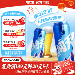 雪花 BEER 雪花 SNOWBEER BEER BEER 勇闯天涯 啤酒 500ml*24听
