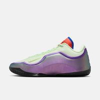 百亿补贴：耐克 正品NIKE耐克男詹姆斯LEBRON XXIII运动训练实战篮球鞋IH1514-700