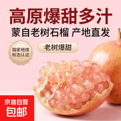 京喜加 云南蒙自 硬籽甜石榴 净重 5斤中果单果 180-240g
