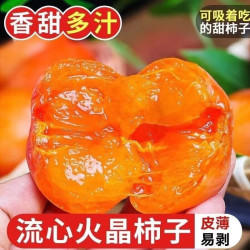 京喜加 山西 火晶软柿子 15 枚托盘装 单果 30g+